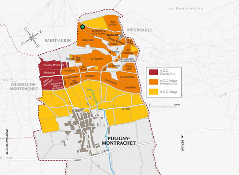 Puligny-Montrachet 1e Cru