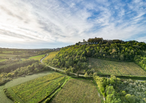 Proefdoos Maison La Croix de Montjoie - Appellation Vézelay
