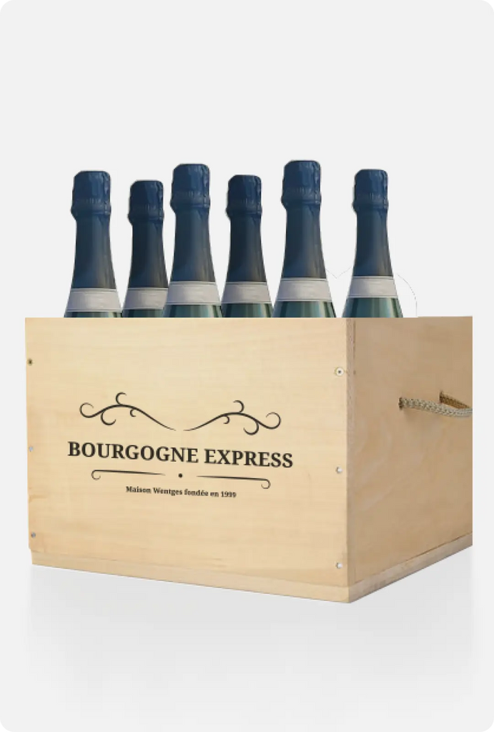 De beste Cremant de Bourgogne