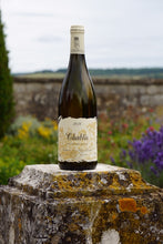 Afbeelding in Gallery-weergave laden, Chablis 2023, Domaine Jean-Marie Naulin